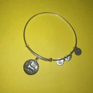 alex and ani charm taurus charm bracelet